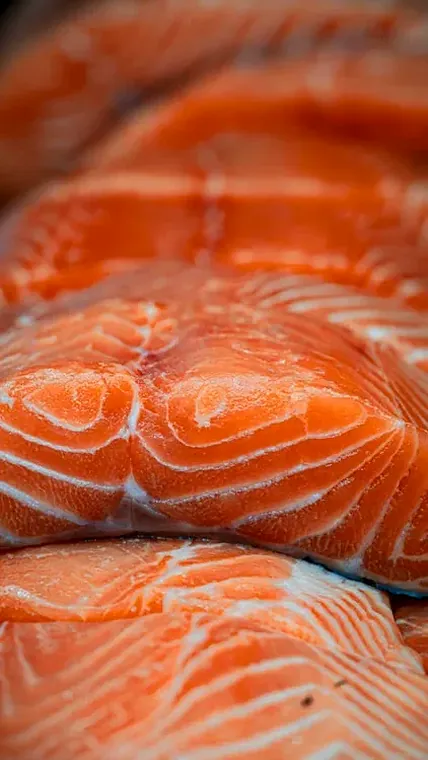 Filés de salmão vistos de perto, com o marmoreio da carne visível