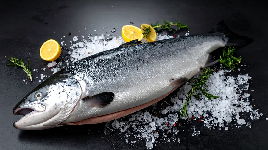 Salmão fresco exposto sobre gelo na Peixaria Ômega 3
