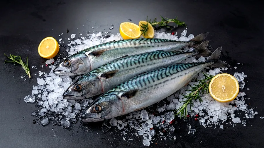 Sardinha fresco exposto sobre gelo na Peixaria Ômega 3